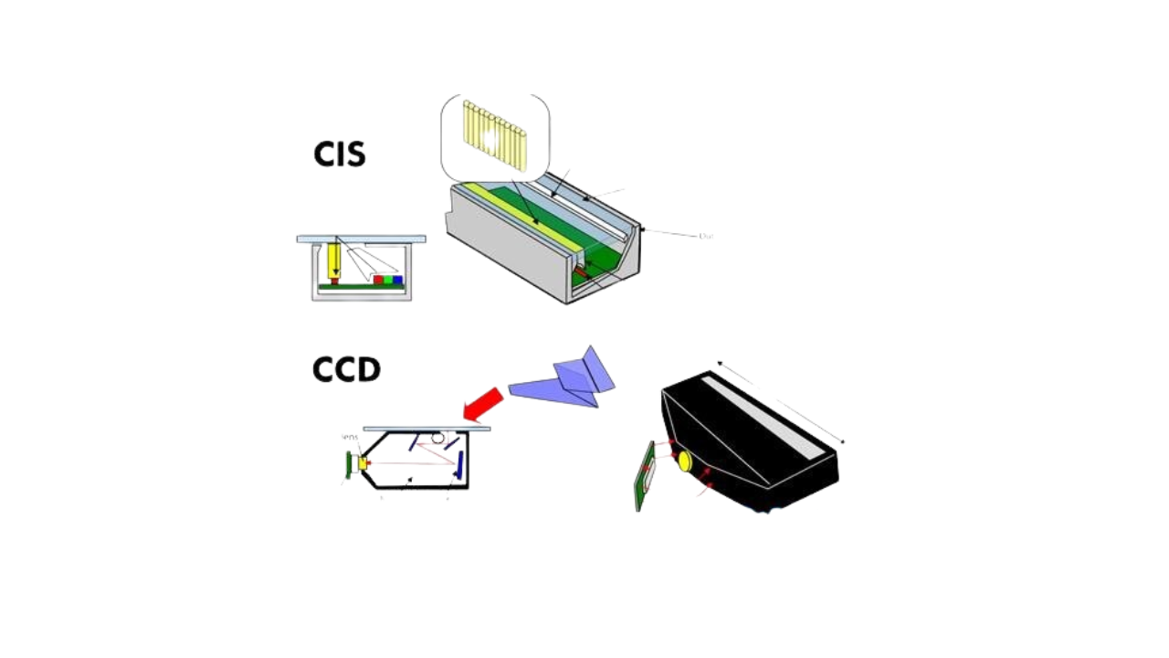 cis & ccd