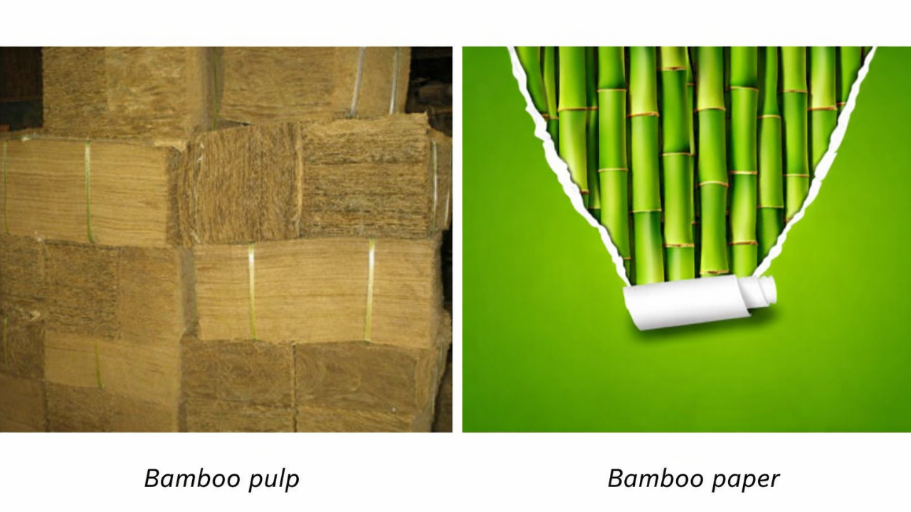 کاغذ بامبو